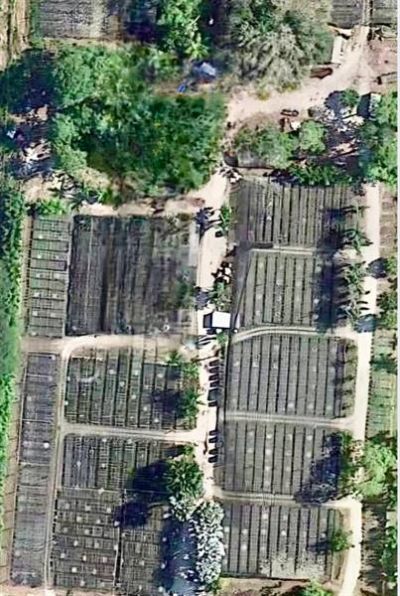 3730 161st Ter N, Loxahatchee, FL 33470 Photo