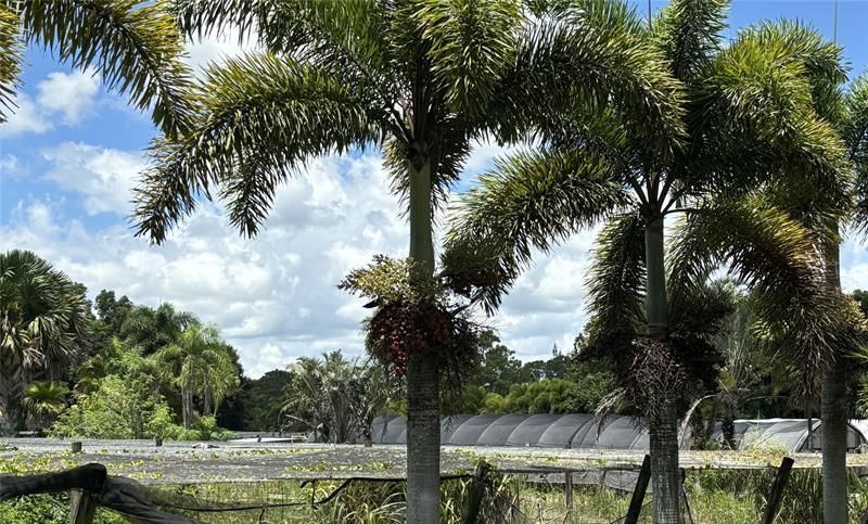 3730 161st Ter N, Loxahatchee, FL 33470 Photo