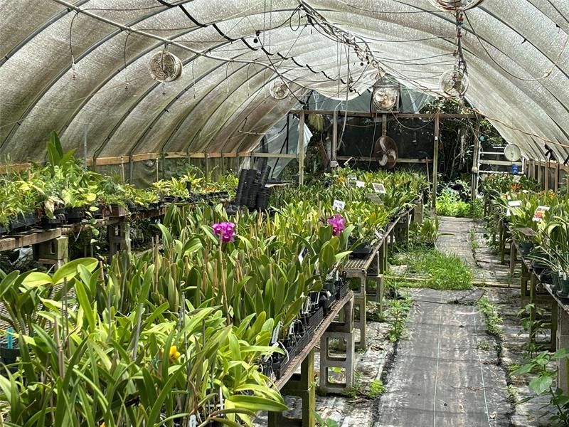 3730 161st Ter N, Loxahatchee, FL 33470 Photo