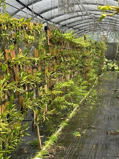 3730 161st Ter N, Loxahatchee, FL 33470 Photo