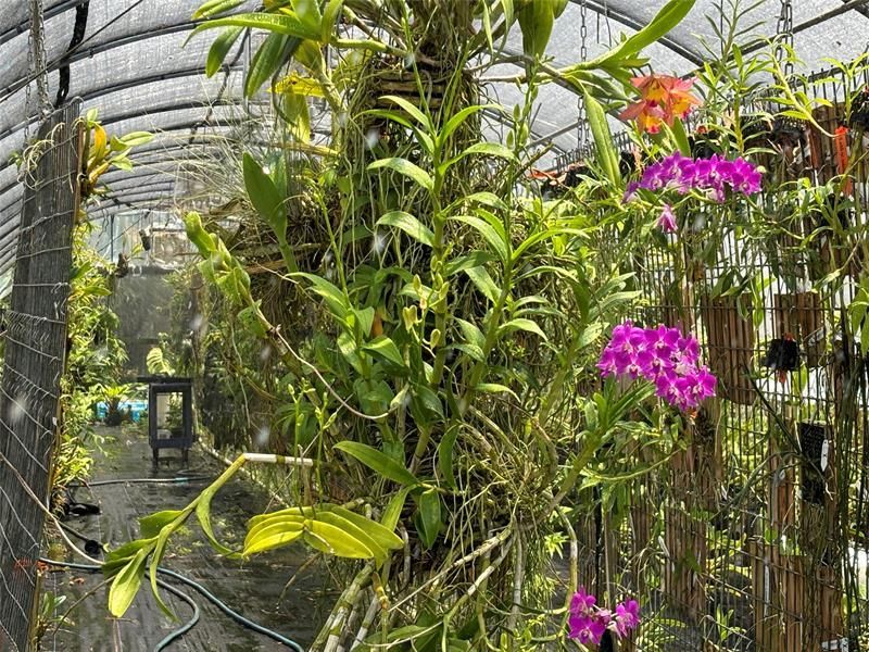 3730 161st Ter N, Loxahatchee, FL 33470 Photo