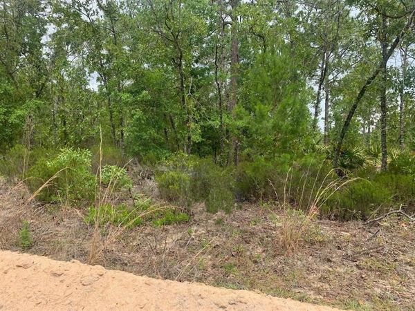 0 Miami Street, Interlachen, FL 32148