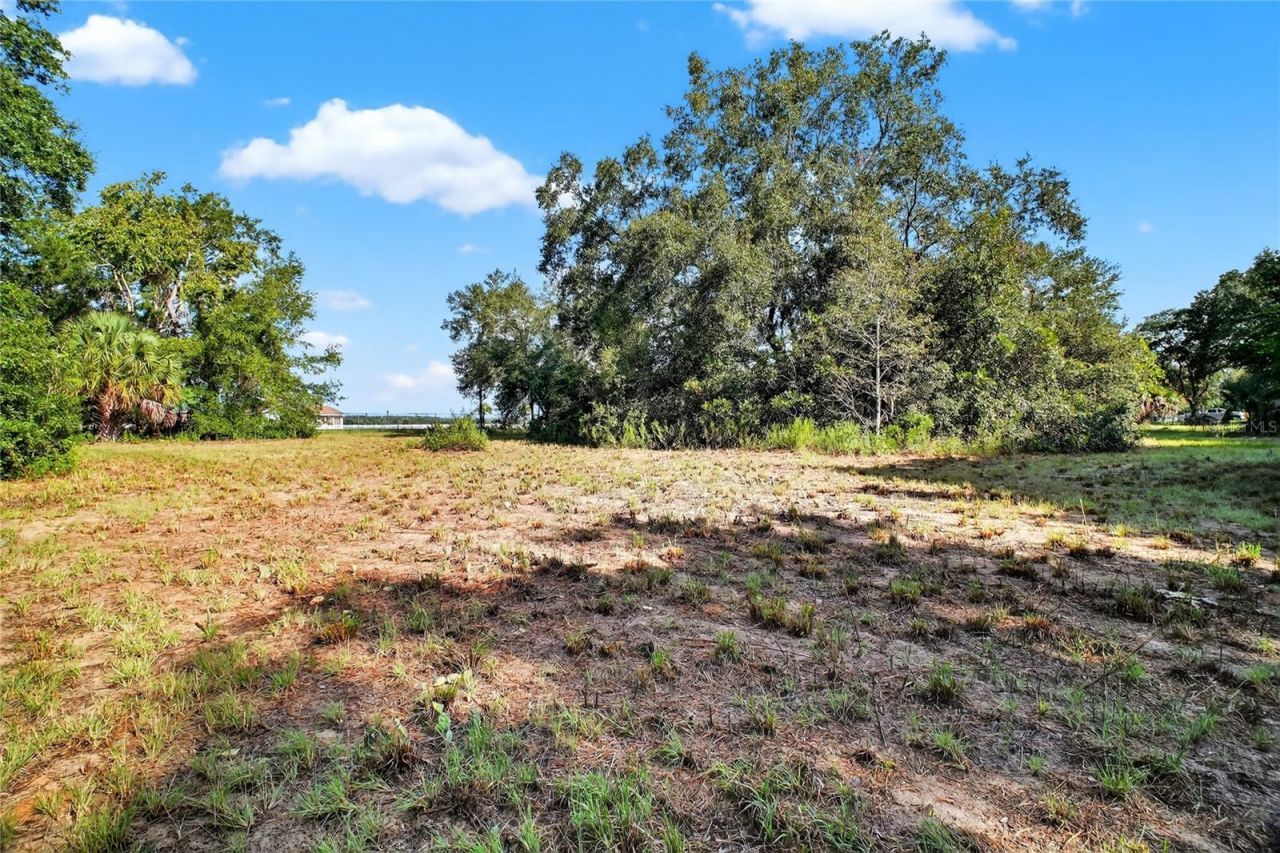 42012 State Road 19, Altoona, FL 32702 Photo