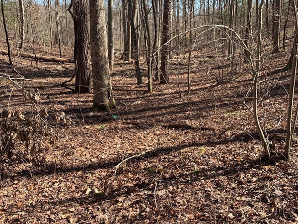 1986 Jones Mountain Road, Jasper, GA 30143