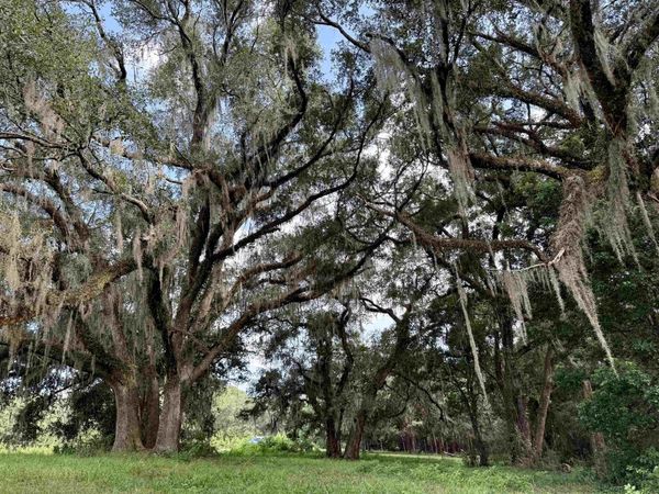 0 Walnut Grove Court, Tallahassee, FL 32305