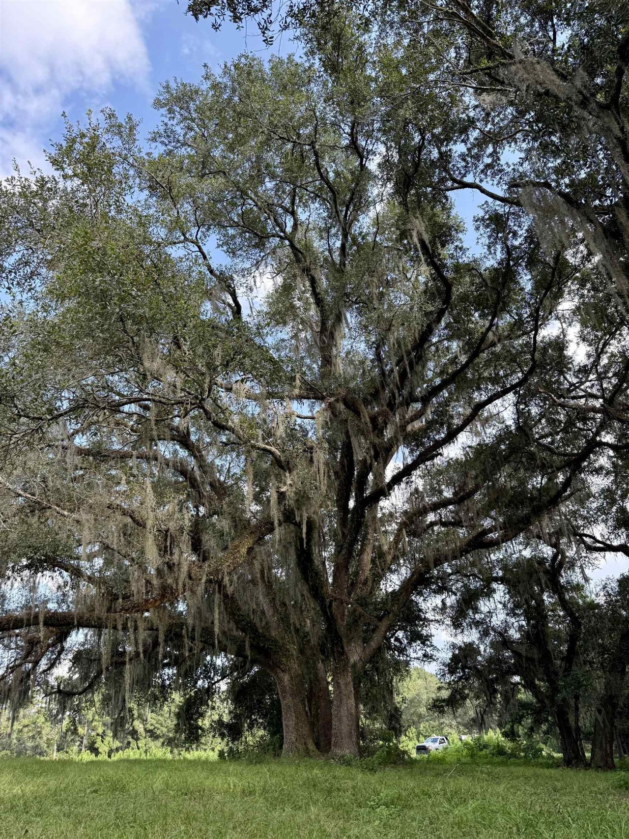 0 Walnut Grove Court, Tallahassee, FL 32305 Photo