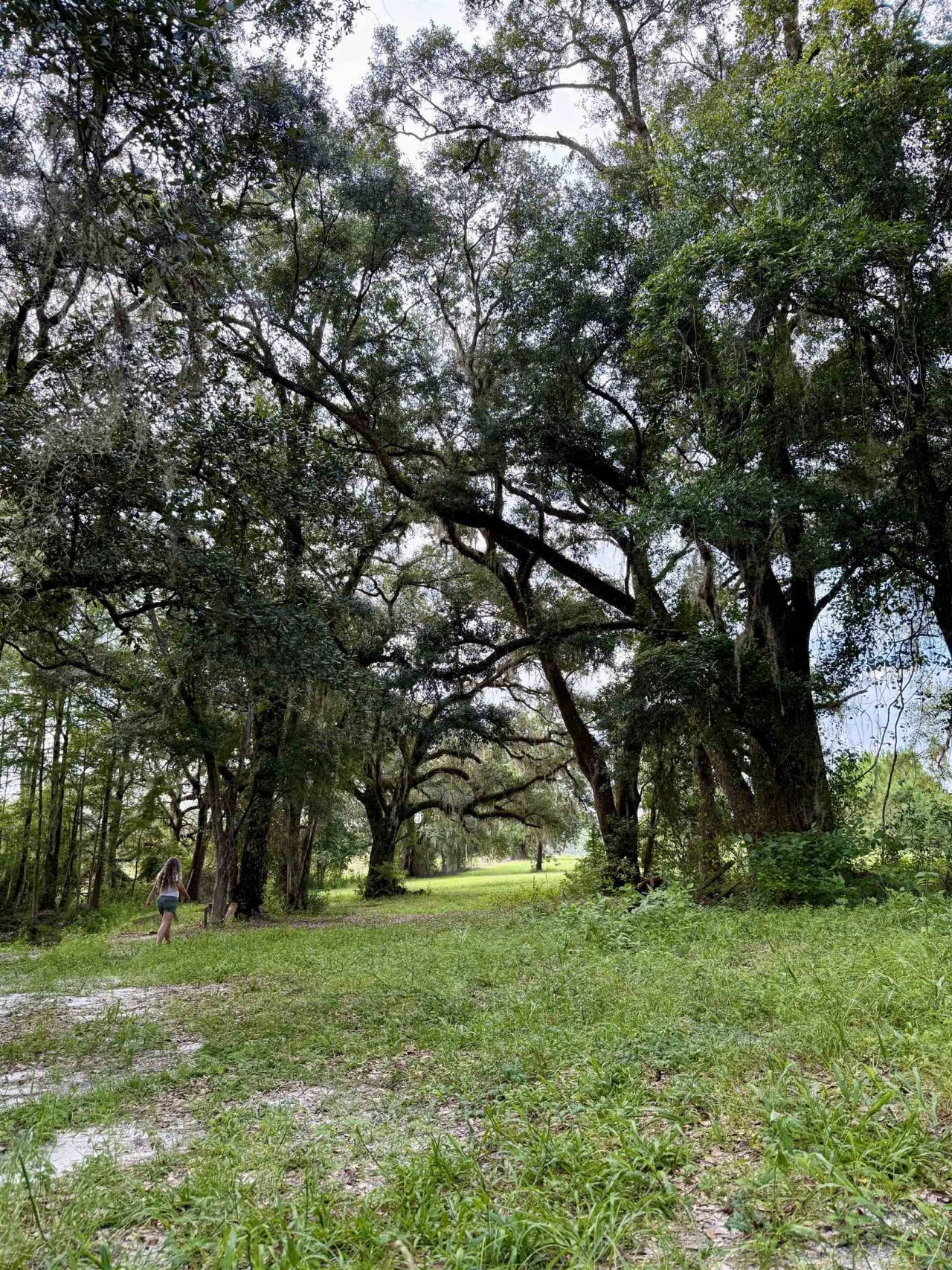 0 Walnut Grove Court, Tallahassee, FL 32305 Photo