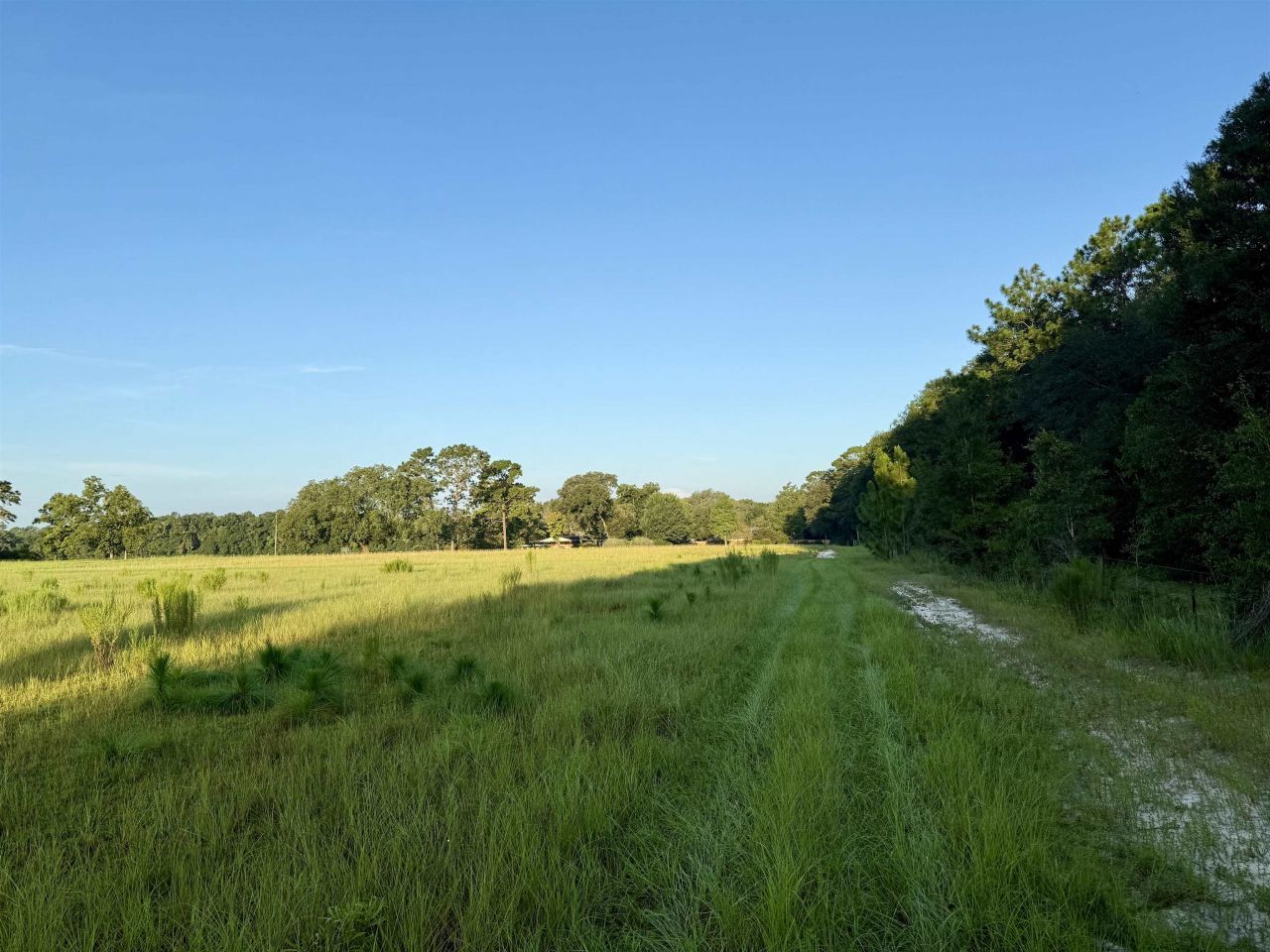 0 Walnut Grove Court, Tallahassee, FL 32305 Photo