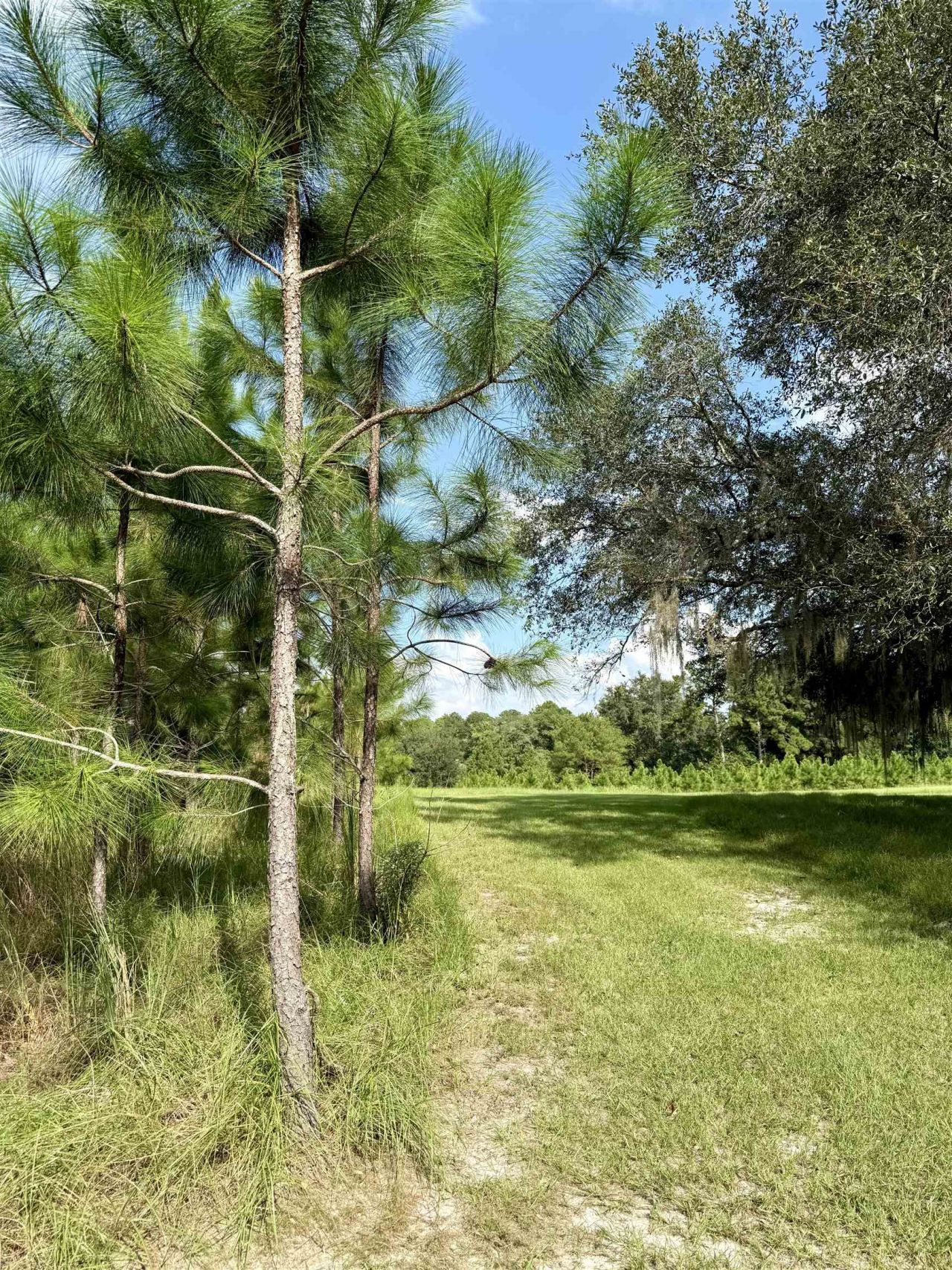 0 Walnut Grove Court, Tallahassee, FL 32305 Photo