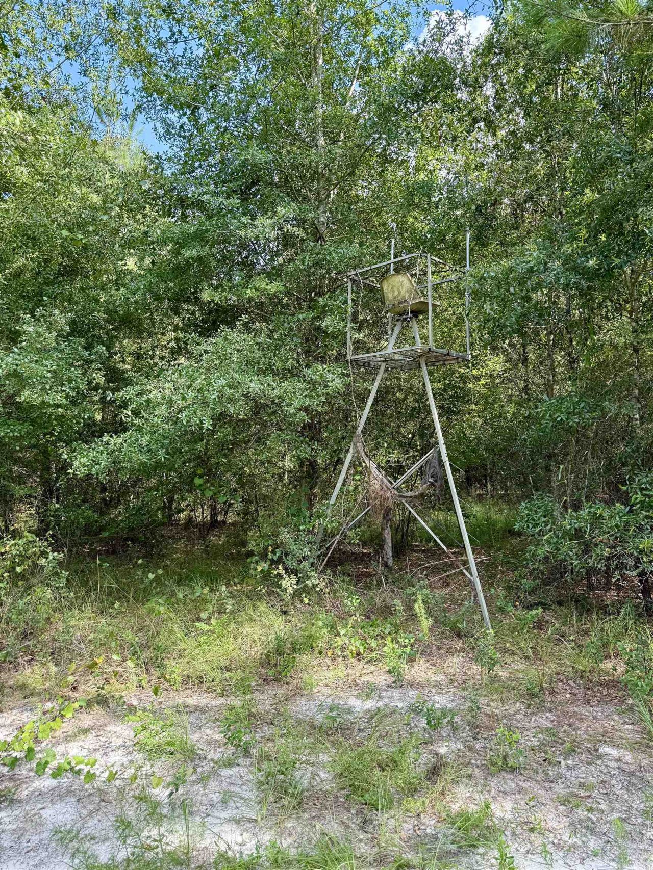 0 Walnut Grove Court, Tallahassee, FL 32305 Photo