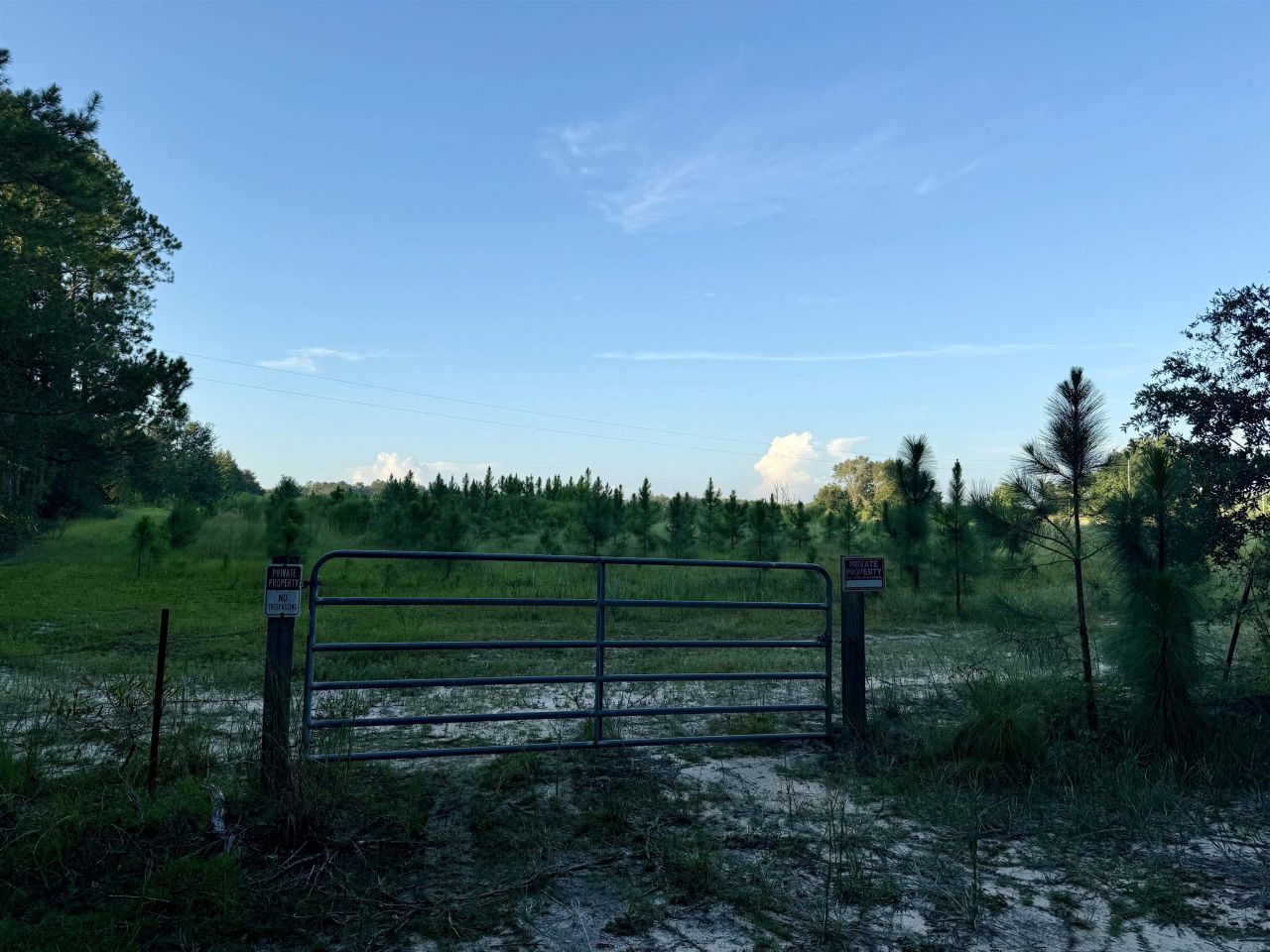 0 Walnut Grove Court, Tallahassee, FL 32305 Photo