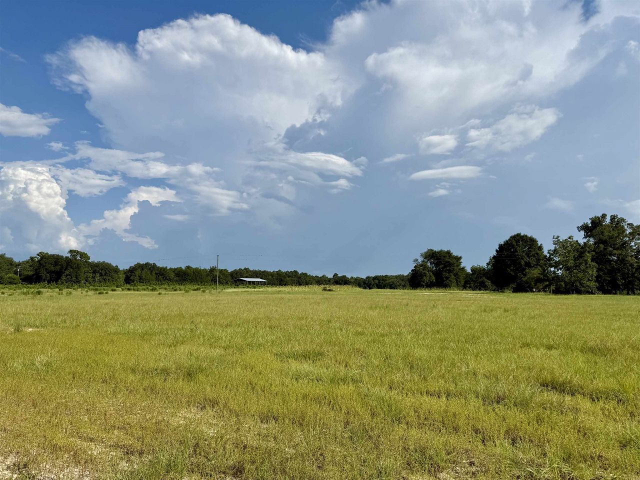 0 Walnut Grove Court, Tallahassee, FL 32305 Photo