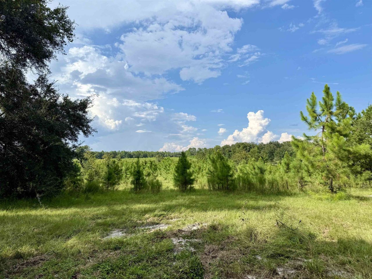 0 Walnut Grove Court, Tallahassee, FL 32305 Photo