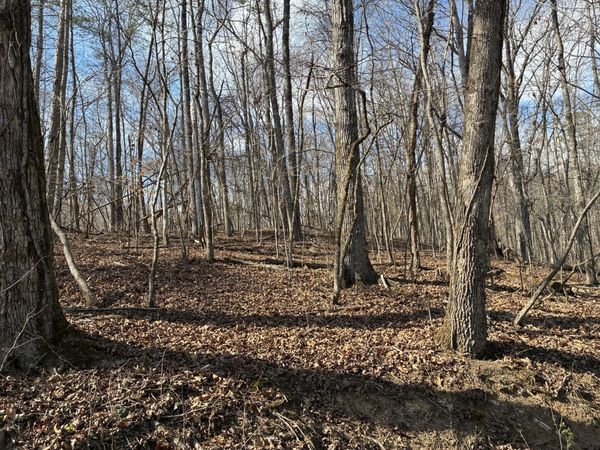 0 Eagle Point Drive Lot 8, Rockwood, TN 37854