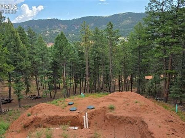 370 Summer Haven Drive, Woodland Park, CO 80863