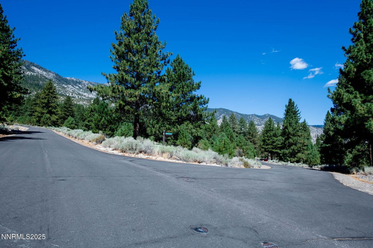 880 Stutler Creek Court, Gardnerville, NV 89460 Photo