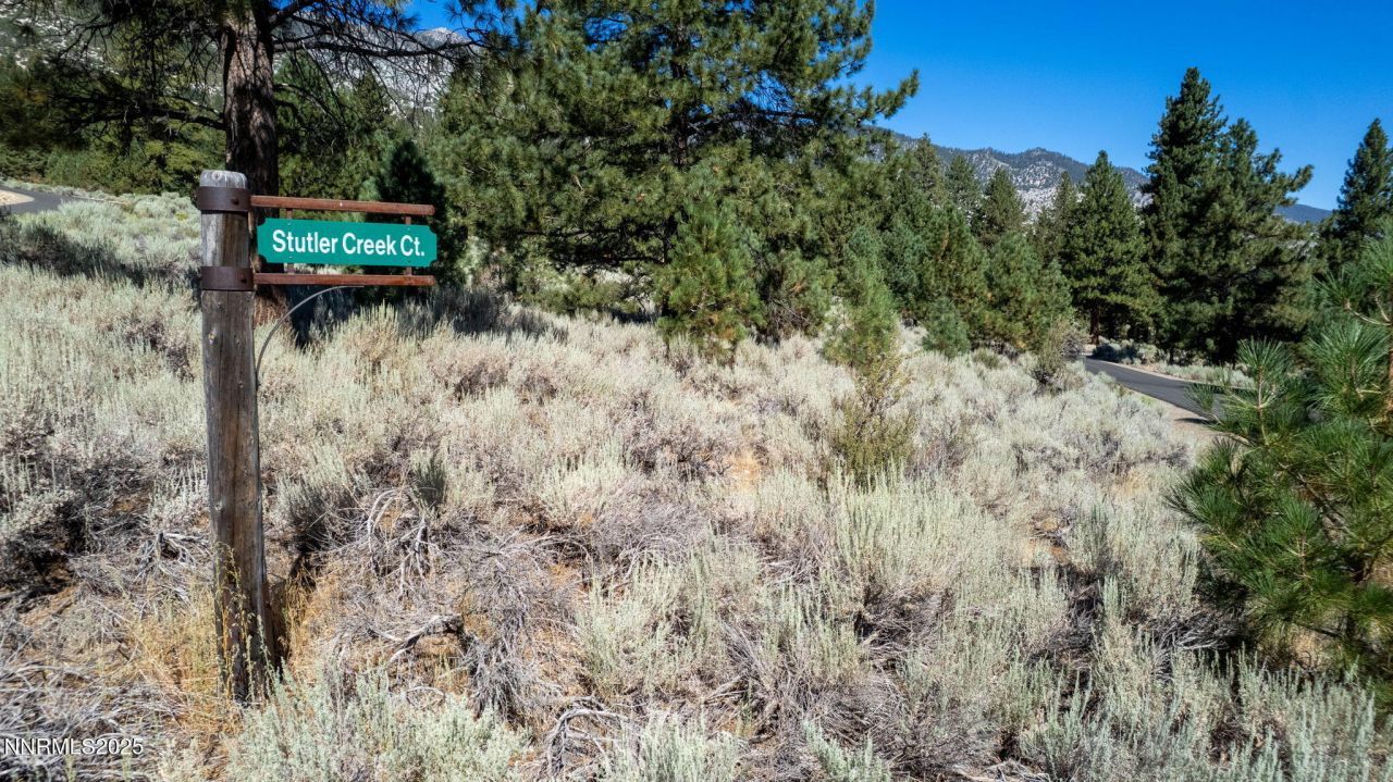 880 Stutler Creek Court, Gardnerville, NV 89460 Photo