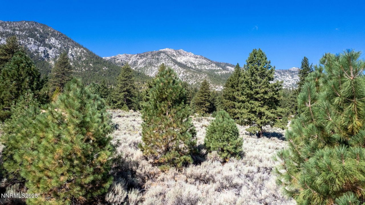 880 Stutler Creek Court, Gardnerville, NV 89460 Photo