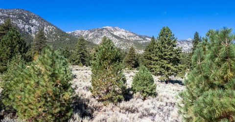 880 Stutler Creek Court, Gardnerville, NV 89460 Photo