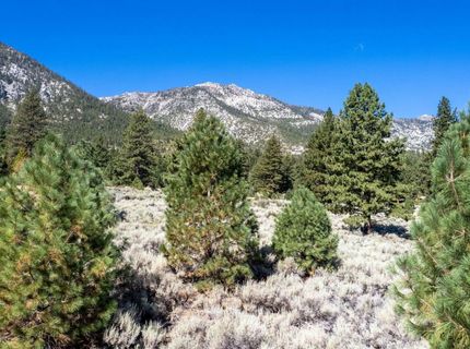 880 Stutler Creek Court, Gardnerville, NV 89460 Photo