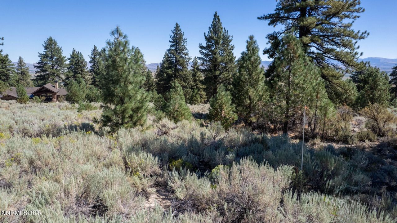 880 Stutler Creek Court, Gardnerville, NV 89460 Photo