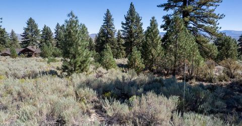 880 Stutler Creek Court, Gardnerville, NV 89460 Photo