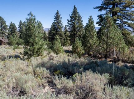 880 Stutler Creek Court, Gardnerville, NV 89460 Photo