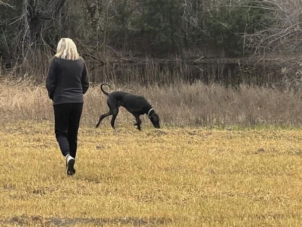 TBD E HCR 2224, Aquilla, TX 76622