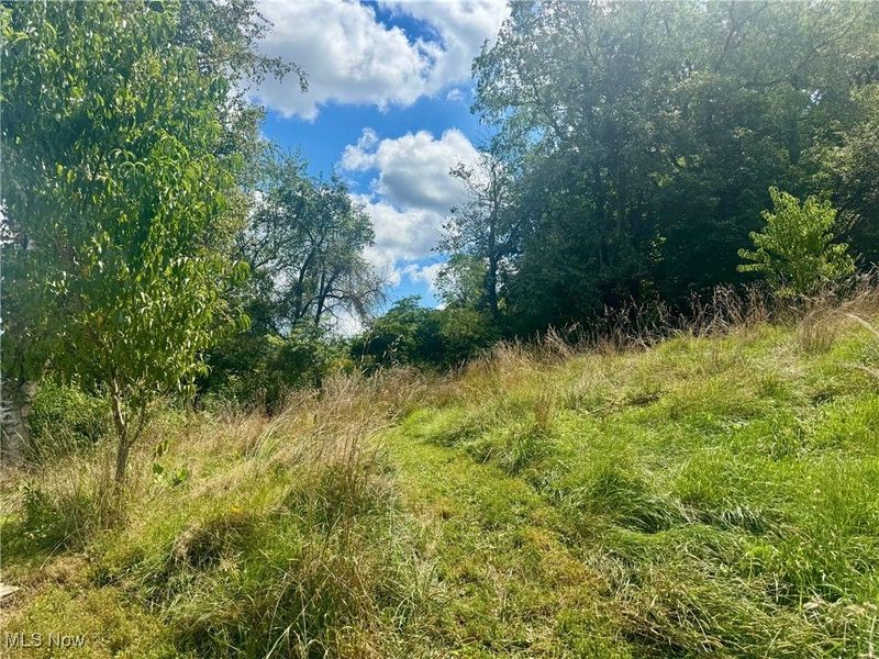 74 E Durbin Street, Bellville, OH 44813 Photo 35