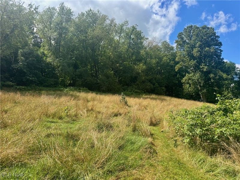 74 E Durbin Street, Bellville, OH 44813 Photo 37