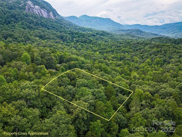 TBD Rumbling Bald Road, Lake Lure, NC 28746