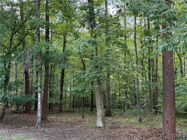 0 Bridewell Circle, McCalla, AL 35111