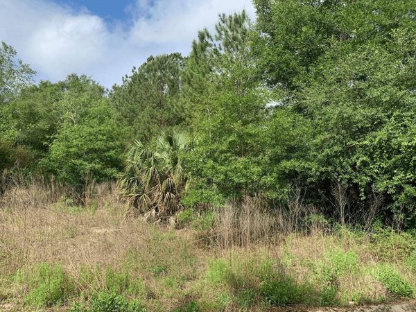 0 Douglas Drive, Interlachen, FL 32148