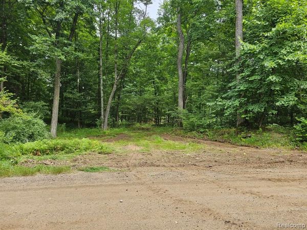 8600 Eagle Road, Rose Twp, MI 48350