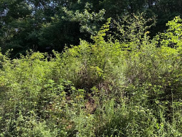 115 Hughes Hollow Road, Philadelphia, TN 37880