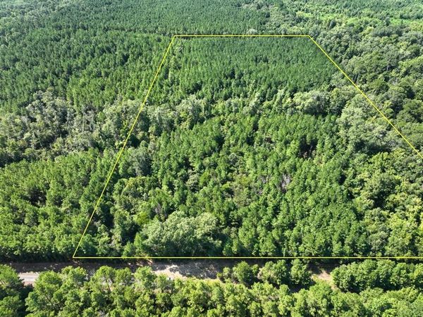 TBD Sam Booker Road, Mansfield, LA 71052