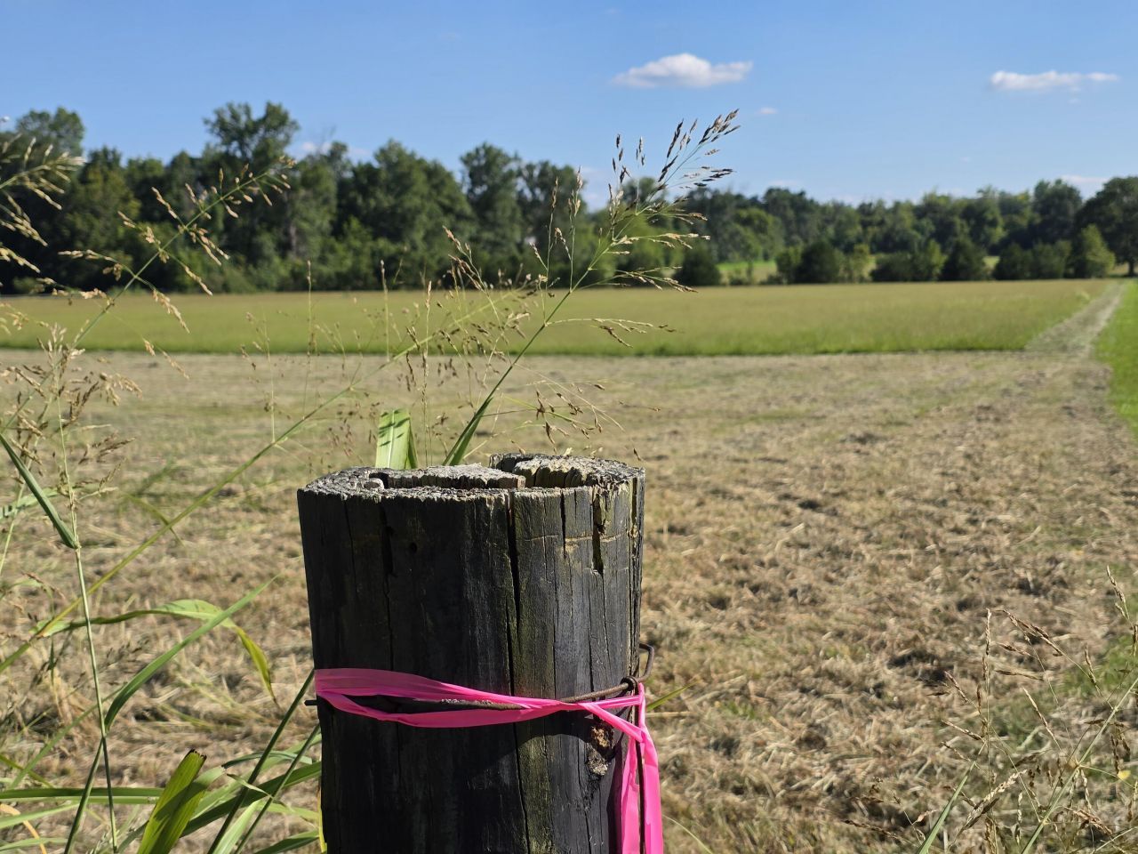 9999 Peggy Flats Road, Berea, KY 40403 Main Photo