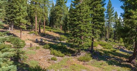 11494 Alder Hill Road, Truckee, CA 96161 Photo