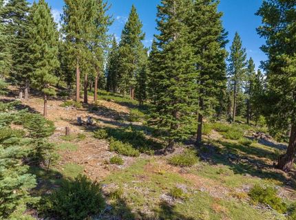 11494 Alder Hill Road, Truckee, CA 96161 Photo