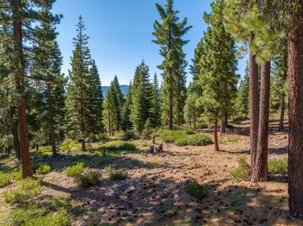 11494 Alder Hill Road, Truckee, CA 96161 Photo