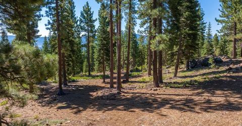 11494 Alder Hill Road, Truckee, CA 96161 Photo