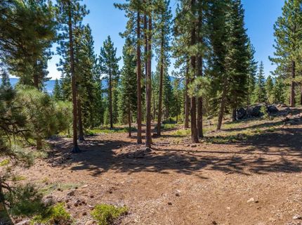11494 Alder Hill Road, Truckee, CA 96161 Photo