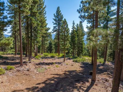 11494 Alder Hill Road, Truckee, CA 96161 Photo