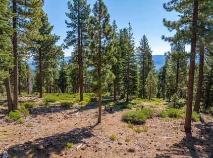 11494 Alder Hill Road, Truckee, CA 96161 Photo