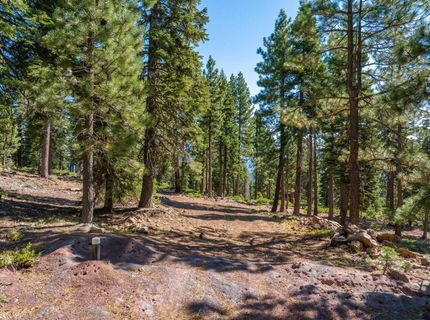 11494 Alder Hill Road, Truckee, CA 96161 Photo