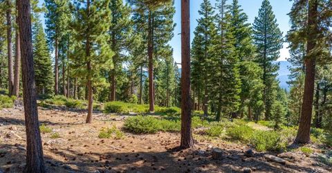 11494 Alder Hill Road, Truckee, CA 96161 Photo