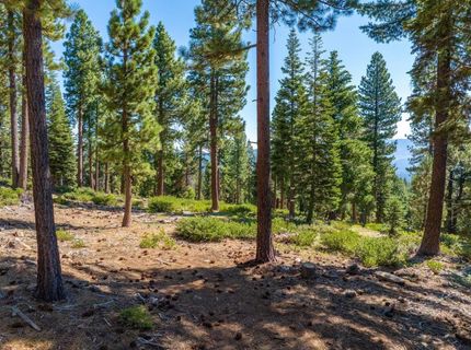 11494 Alder Hill Road, Truckee, CA 96161 Photo