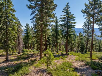 11494 Alder Hill Road, Truckee, CA 96161 Photo