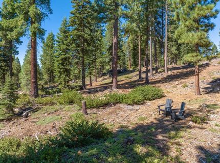 11494 Alder Hill Road, Truckee, CA 96161 Photo
