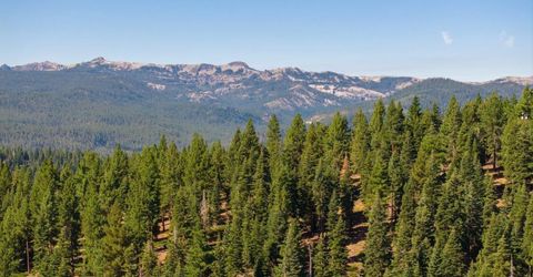 11494 Alder Hill Road, Truckee, CA 96161 Photo